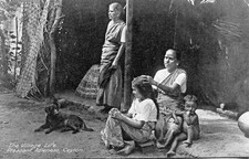 Ceylan ceylon sri d'occasion  Genillé