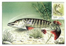 Maximaphilie carte maximum d'occasion  Toulon-