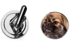 Tibetan spaniel codez5 for sale  SHEFFIELD