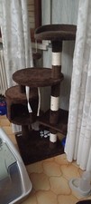 Casetta gatto usato  Fucecchio