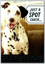 Greeting card dalmatian for sale  Wynantskill