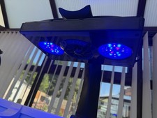 reef tank lighting for sale  STOKE-ON-TRENT