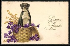 Ansichtskarte hund blumen gebraucht kaufen  Berlin