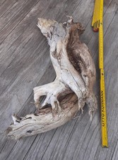 Helles treibholz schwemmholz gebraucht kaufen  Hilden