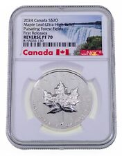 2024 canada argent d'occasion  Expédié en France