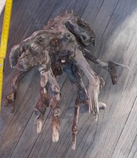 Treibholz schwemmholz skulptur gebraucht kaufen  Hilden