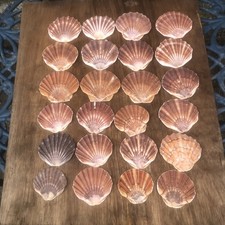Sea worn medium for sale  RYE