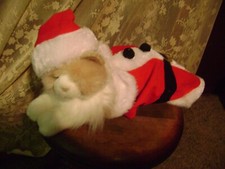 Nwot dog cat for sale  Cresco