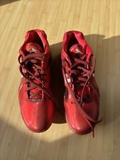 Nike zoom basketball gebraucht kaufen  Neufahrn b.Freising