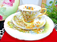 Shelley tea cup for sale  Macomb