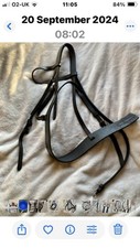 Bridle breastplate martingale for sale  CLEATOR MOOR