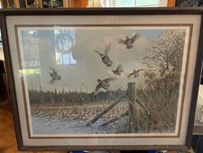 Owen gromme limited for sale  Falmouth