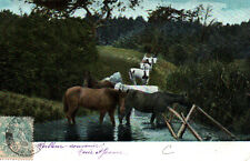 Cpa campagne chevaux d'occasion  Gennevilliers