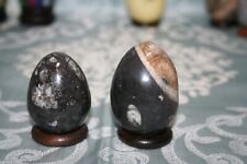 Oeufs orthocéras maroc d'occasion  Pontault-Combault