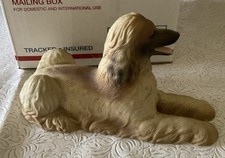 Afghan hound fine for sale  Bakersfield