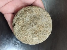 Biscuit stone discoidal for sale  Fremont