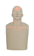 Brayden manikin led gebraucht kaufen  Immenstaad am Bodensee