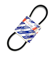 Cinghia servizi fiat usato  Treviso