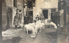 Carte photo ferme d'occasion  Allègre
