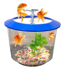 Goldfish bowl strater for sale Goldfish bowl strater for sale  BRADFORD