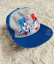 Casquette disneyland paris d'occasion  Rivesaltes