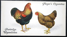 Partridge wyandotte chickens for sale  DERBY