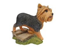 Country artists yorkshire for sale  Amarillo