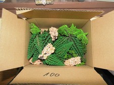 Modelleisenbahn 100 bäume gebraucht kaufen  Osterode