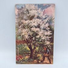 Tuck pear tree for sale  CARLISLE