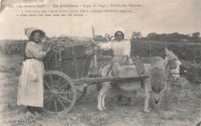 Ile oleron types d'occasion  Vasles