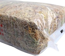 Muschio secco naturale usato  Anzio