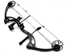 Bear archery cruzer for sale  Spring
