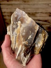 Large opalized petrified for sale  Ephraim