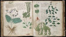 THE VOYNICH MANUSCRIPT ON USB - MYSTERIOUS MEDIEVAL BOOK SECRET LANGUAGE OCCULT, usado comprar usado  Enviando para Brazil