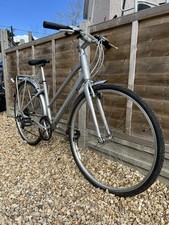 Women grey giant for sale  SALISBURY