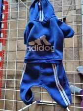 Jogginganzug hunde adidog gebraucht kaufen  Beckingen