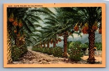 Postcard vtg california for sale  Findlay