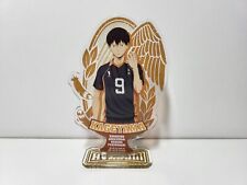 Haikyuu acrylic stand d'occasion  Cesson-Sévigné