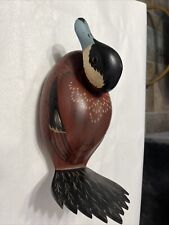Male ruddy duck for sale  Houston