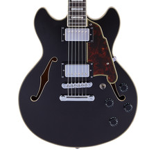 Angelico premier mini for sale  Winchester