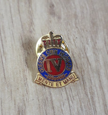 Enamel lapel badge for sale  WELLINGBOROUGH