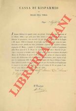 Vitolfilia fascette fascette usato  Italia