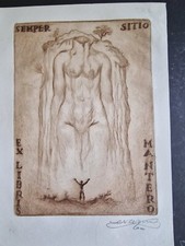 Vannuccini enrico. libris usato  Milano