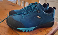 Waldlaufer amiata teal for sale  CHELTENHAM