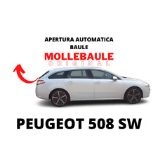 Mollebaule kit molle usato  Mira