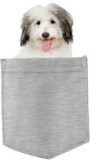 Coton tulear dog for sale  Pottstown