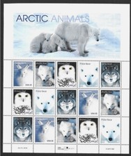 Usa 1999 arctic for sale  WINSFORD