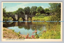 R791374 llechryd bridge for sale  WARLINGHAM