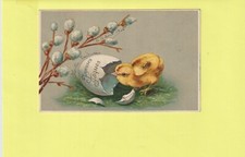 Cpa gaufree poussin d'occasion  Draguignan