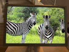 Apple cinema lcd gebraucht kaufen  Dortmund